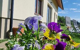 Noclegi u Babci Gieni